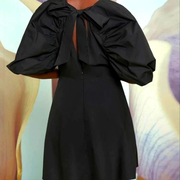 Lantern Sleeves Mini Dress - Picture 2 of 6